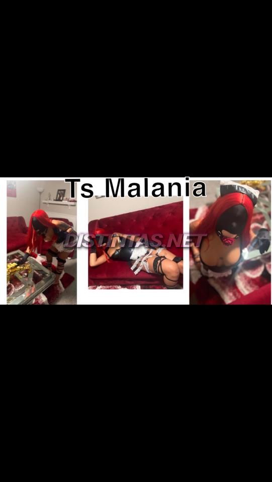 Malania Horny