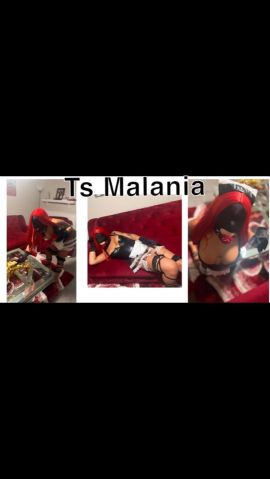 Malania Horny