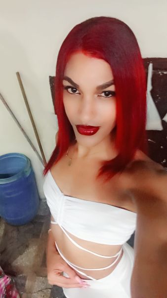 Hola soy una chica trans de 22 años de edad atractiva piel morena ojos café me gusta el sexo y dentro de mi catálogo presto varios servicios todos con el de que usted quede a gusto si desea alguno de mis servicios no dude en contactarme 