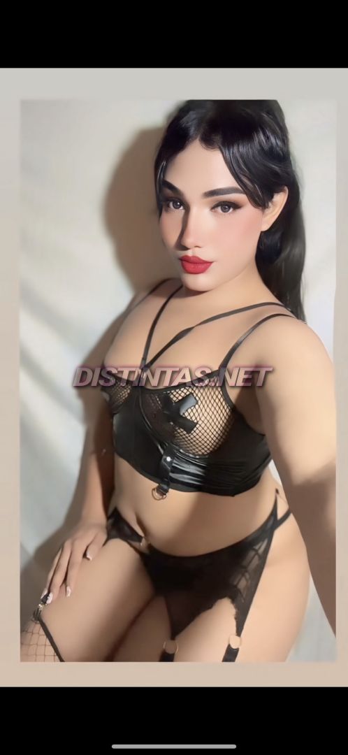 Sofía TRANS