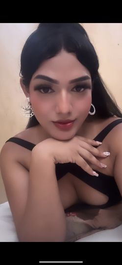 Sofía TRANS
