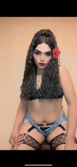 Sofía TRANS
