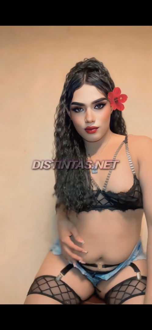 Sofía TRANS