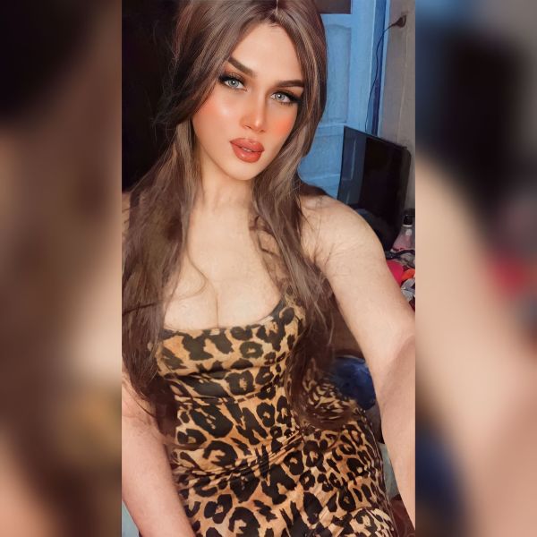 Welcome to my profile
I’m shaza pure shemale I like all kinds of people I only meet first timers on condition and if you have met anyone before from the site we can meet directly .....whatsApp