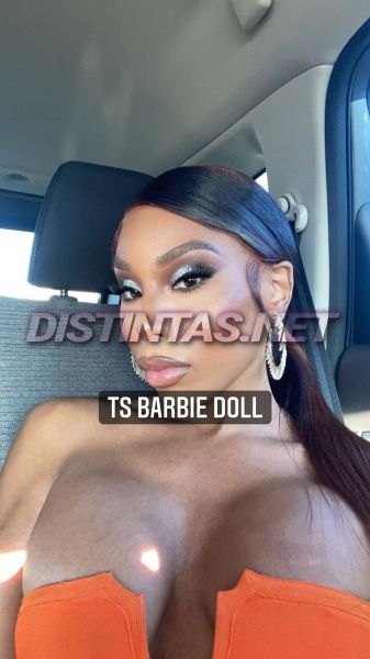 BarbieExoticdoll